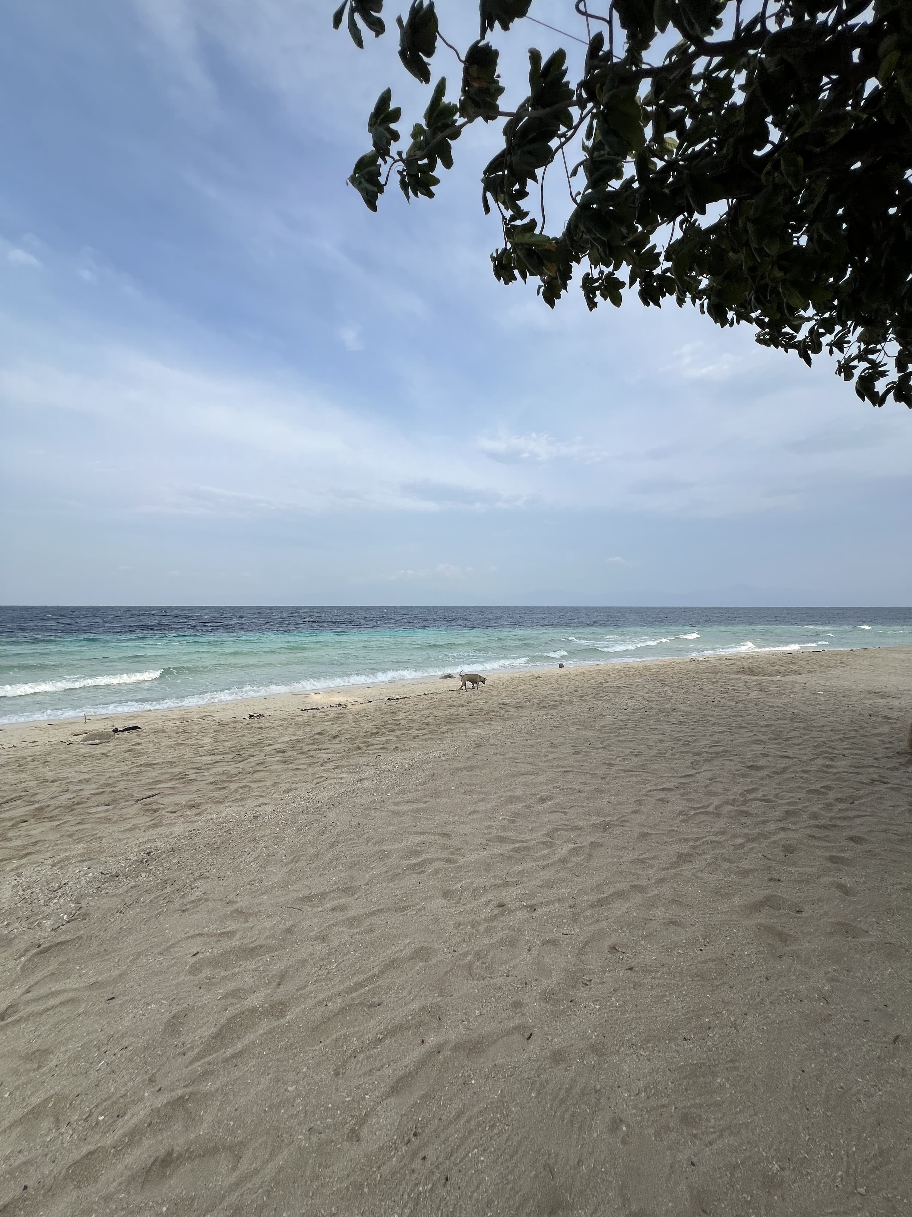 Moalboal's long public white-sand beach, with room to swim and camp