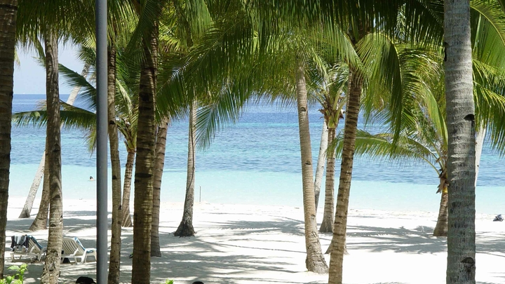 Bohol Beach Resorts