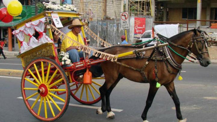 Caballo Festival