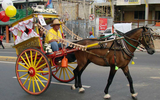 Caballo Festival