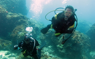 Malapascua Island Diving